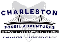 Charleston Fossil Adventures