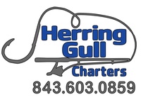 Herring Gull Charters