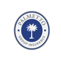 Palmetto Group Insurance LLC