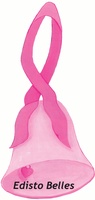 Edisto Belles/Breast Health Advocacy