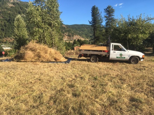Gallery Image Kootenay%20Grass%20Busters%20-%20Image.jpg Gallery Image Kootenay%20Grass%20Busters%20-%20Image.jpg