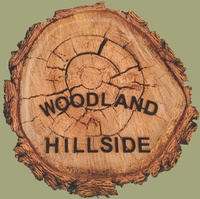 Woodland Hillside