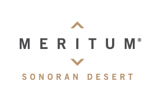 Meritum Sonoran Desert