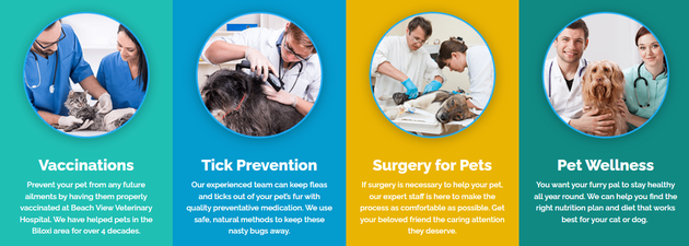 Beach View Veterinary Hospital