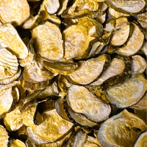 Gallery Image 497483039_668265702862984_7219052136912032507_n.jpg