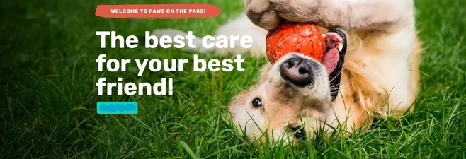 Paws on the Pass