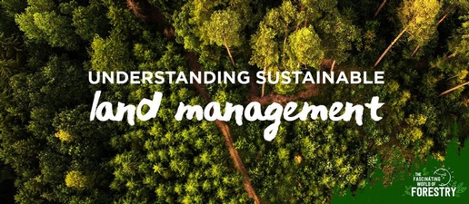 Legacy Land Management LLC