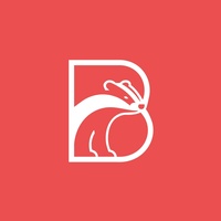 BadgerLayer LLC