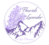 Fleurish Lavender of Lost Mountain
