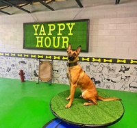 Yappy Hour by DeRidder Dog Training Studio