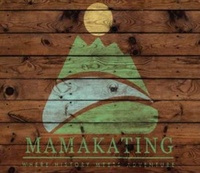 Town of Mamakating