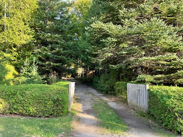 Gallery Image IMG_2487.jpeg