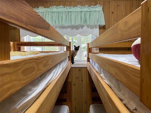 Gallery Image IMG_2501.jpeg