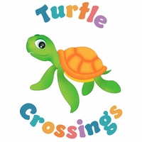 Turtle Crossings
