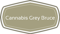 Cannabis Grey Bruce