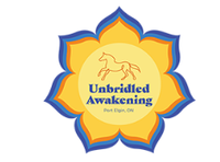Unbridled Awakening