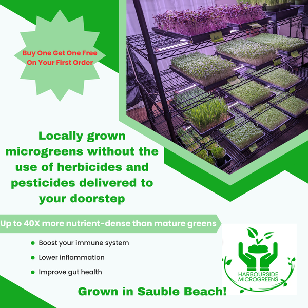 Gallery Image Harbourside%20Microgreens%20(6).png