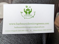 Harbourside Microgreens