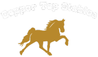 Copper Top Stables, LLC