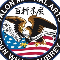 Talon Martial Arts on 377