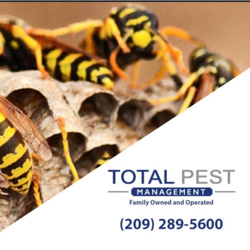 Gallery Image Total%20Pest%20Management.jpg