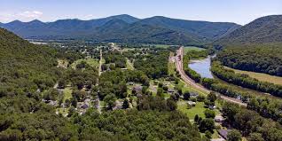 Gallery Image download%20(65).jpeg