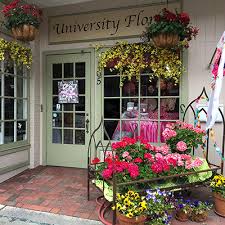 Gallery Image download%20(96).jpeg