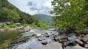 Gallery Image download%20(1).jpeg