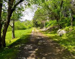 Gallery Image download%20(76).jpeg