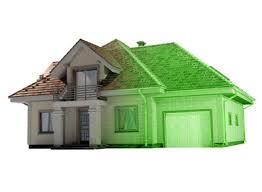 Gallery Image goosehead.jpeg