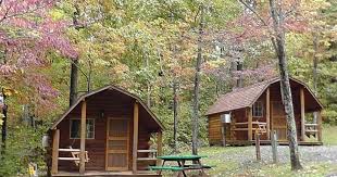 Gallery Image download%20(88).jpeg