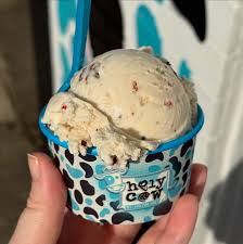 Gallery Image download%20-%202026-01-06T164953.963.jpeg