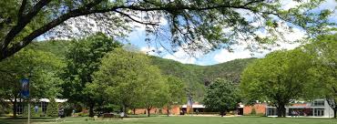 Gallery Image download%20(69).jpeg