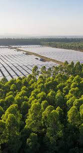 Gallery Image download%20(95).jpeg