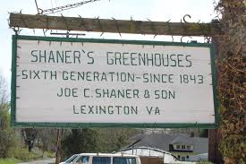 Gallery Image download%20-%202025-12-12T163230.544_121225-033412.jpeg