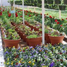 Gallery Image download%20-%202025-12-12T163233.705_121225-033421.jpeg