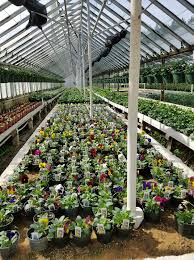 Gallery Image download%20-%202025-12-12T163236.623_121225-033428.jpeg