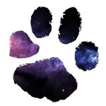 Little Pet Company 
