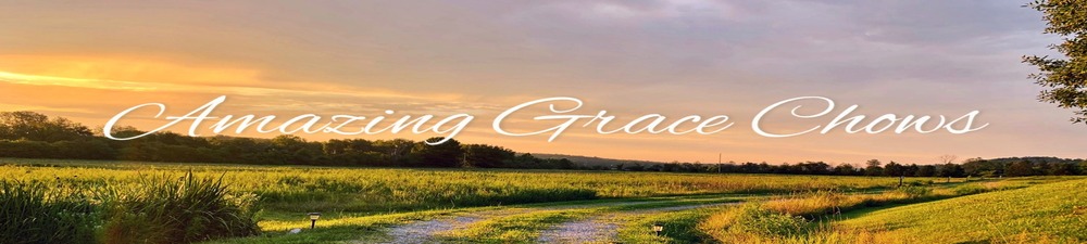 Amazing Grace Chows