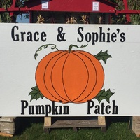 Grace & Sophie's Pumpkin Patch