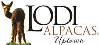 LODI ALPACAS UPTOWN