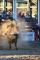 Haines Stampede Rodeo Association