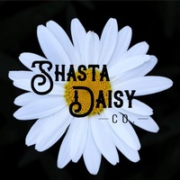 Shasta Daisy Co.