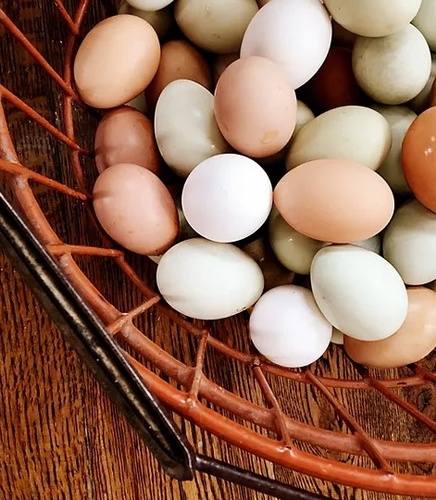 Gallery Image eggs.jpg