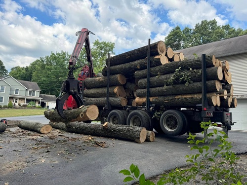 Gallery Image 481662334_1140602171195497_4870767069205275052_n.jpg