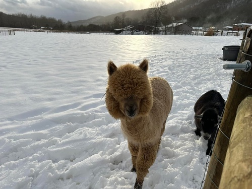 Gallery Image little%20will%202_090126-091612.jpg