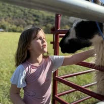 Gallery Image little%20will%203_090126-091650.jpg