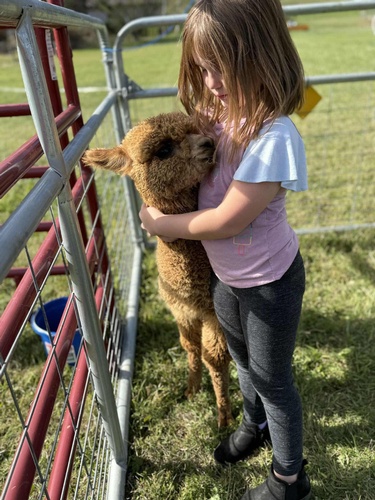 Gallery Image little%20will%205.jpg