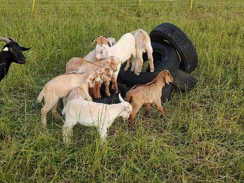 Gallery Image 469459184_122148904208324967_3452972903468781455_n.jpg