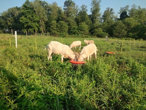 Gallery Image 469978577_122149781912324967_8874435035577133454_n.jpg